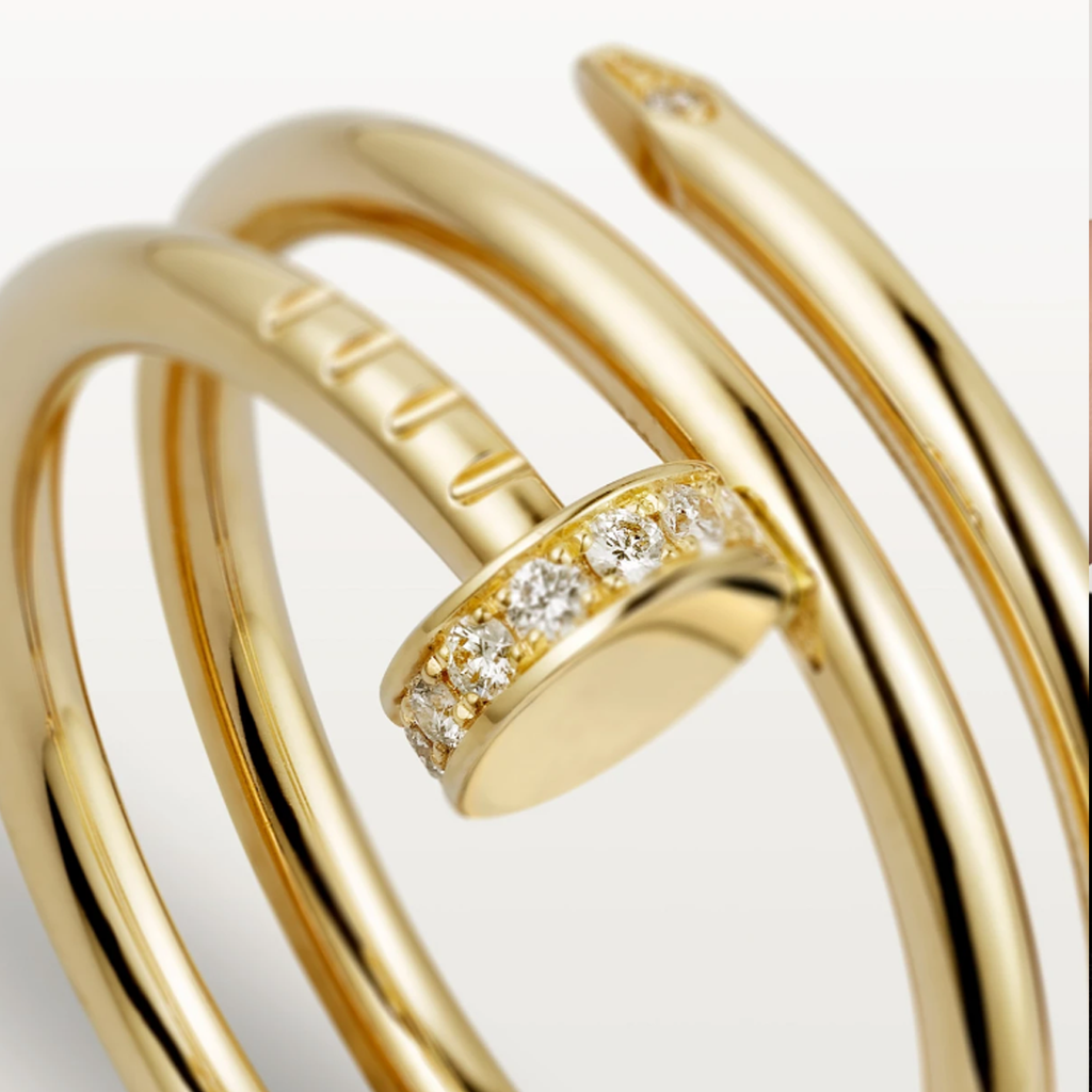 SPIJKER Dubbele Ring