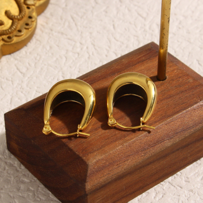 EVIE Elegante Oorbellen