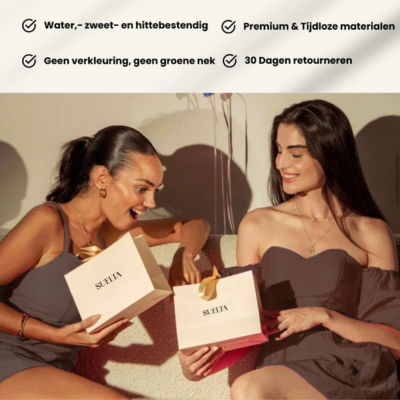 VIP-PAREL Hartjes Oorbellen met Zirkoon